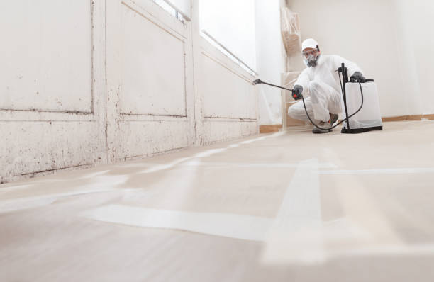 24/7 Emergency Black Mold Remediation experts in Clear Spring, MD